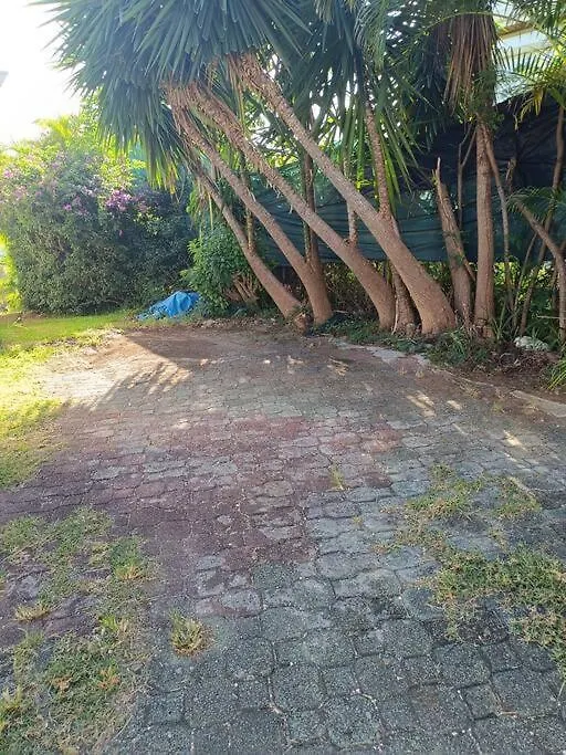 T1 Bis A Proximite De La Plage Le Gosier  Appartement