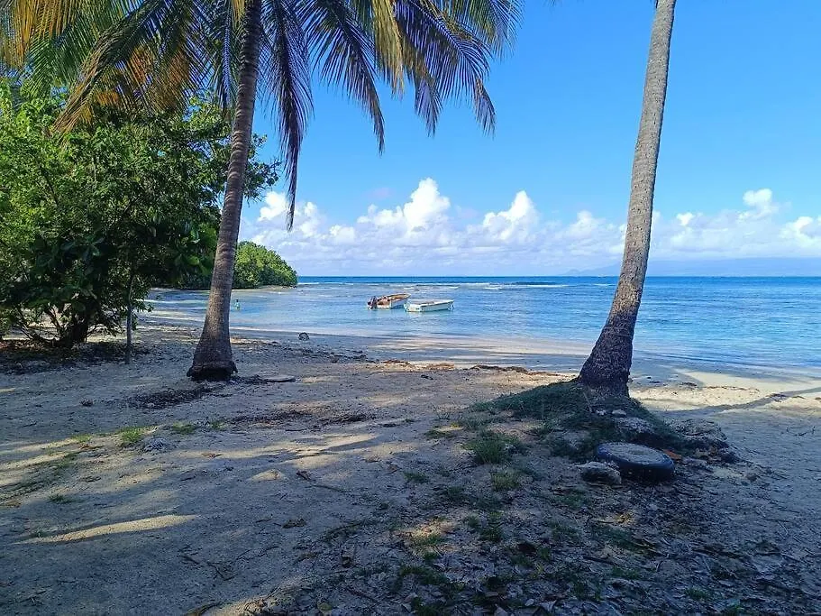 Contacten van T1 Bis A Proximite De La Plage