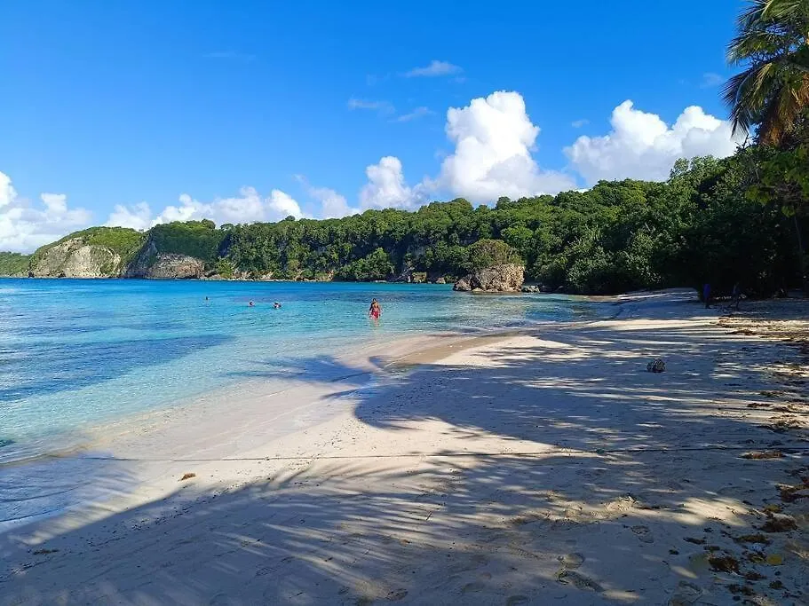 T1 Bis A Proximite De La Plage Le Gosier  Appartement Le Gosier (Grande-Terre)